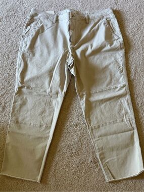Banana Republic Light Beige Chino Pants - Straight Leg